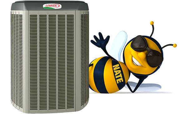 AC with Bee behind it