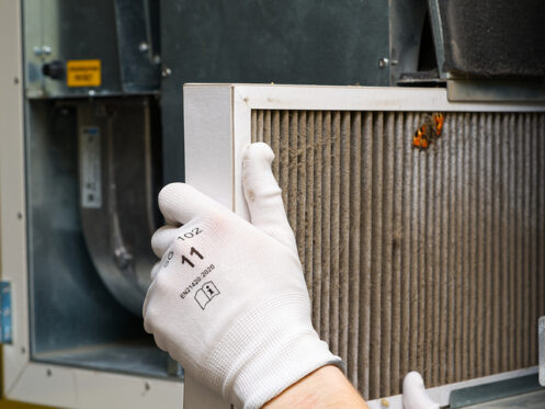 Furnace filter being replaced. It's covered in dust and has a dead bug on it.