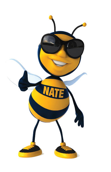Nate Bee Image